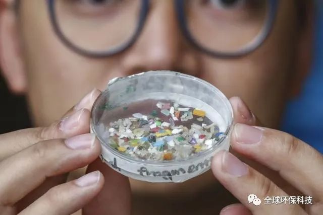 關于“微塑料”的危害，你了解多少？